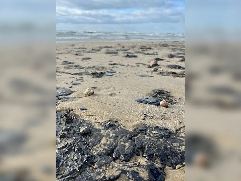 Фото: Раиса Горохова