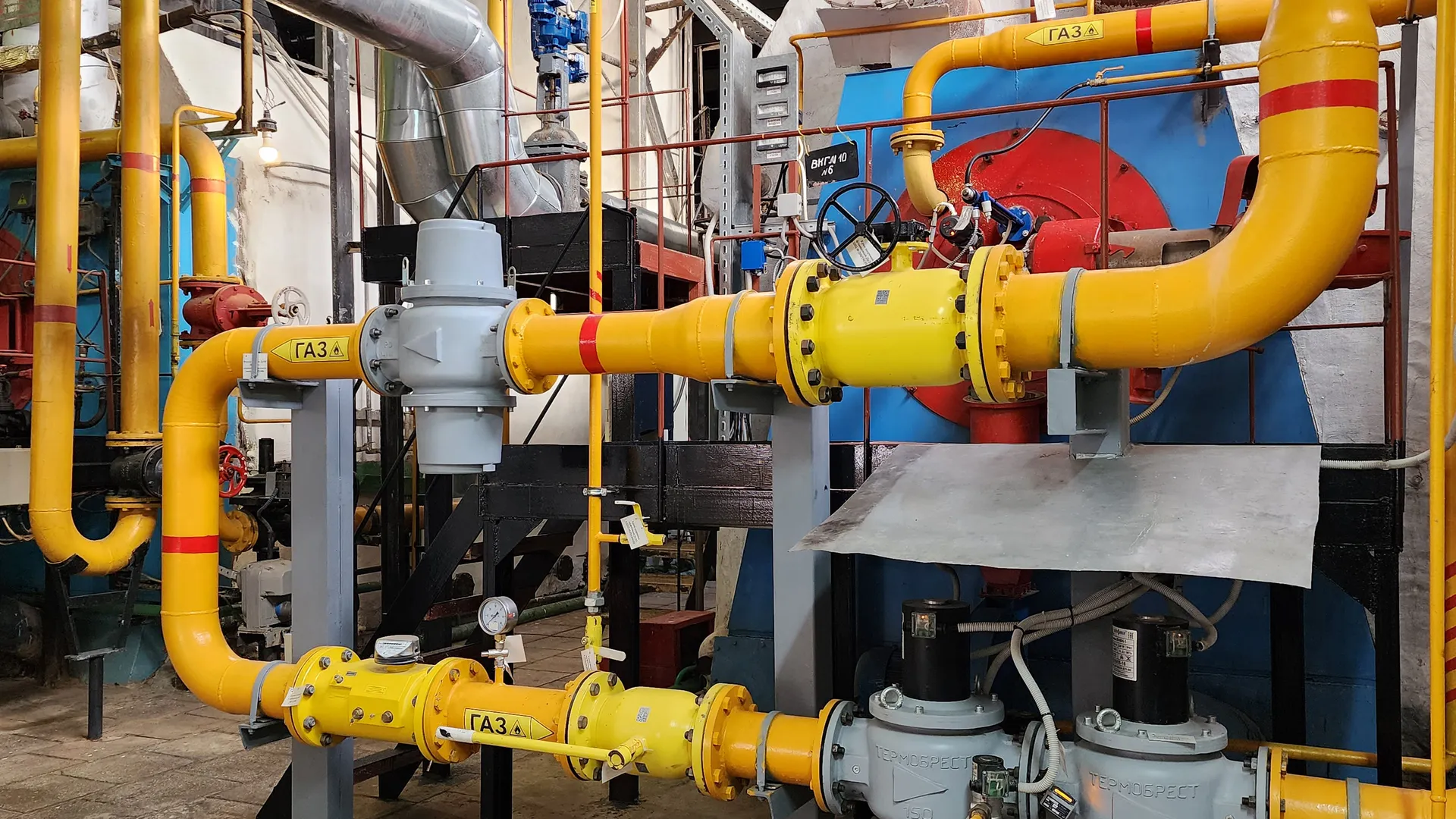 Фото: Валерия Тингаева