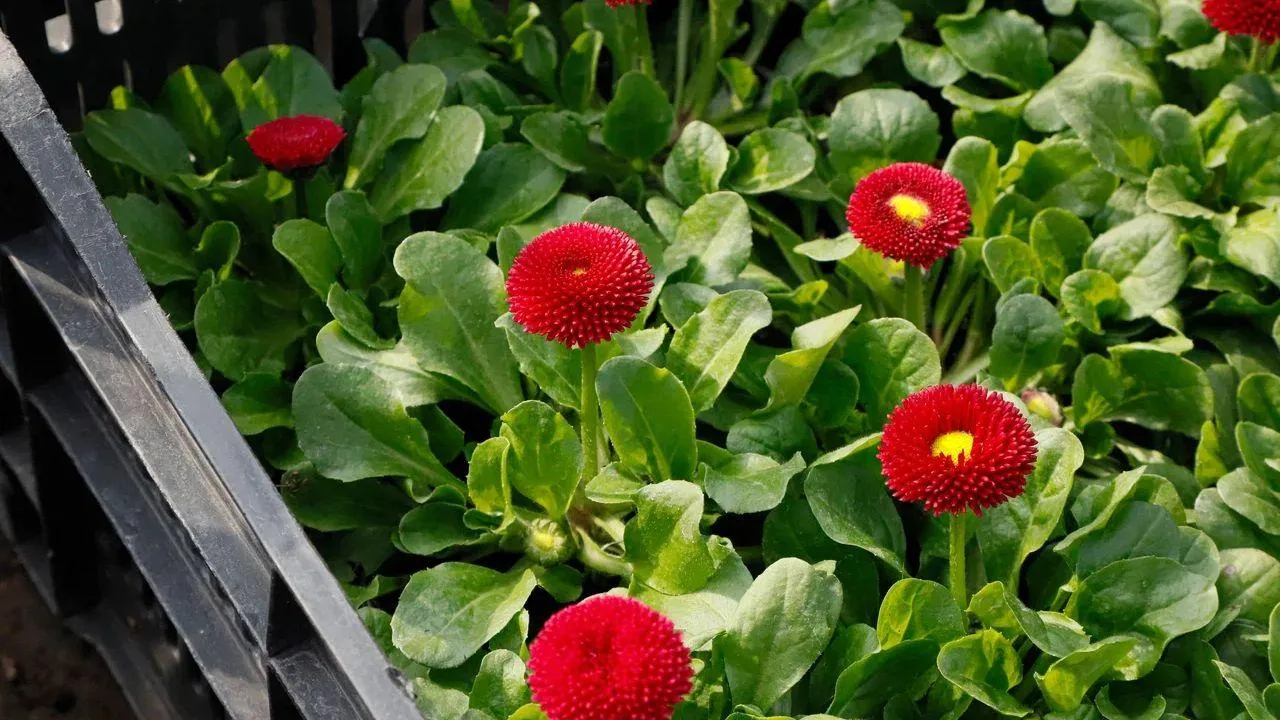 REGIONS/Наталья Надточая