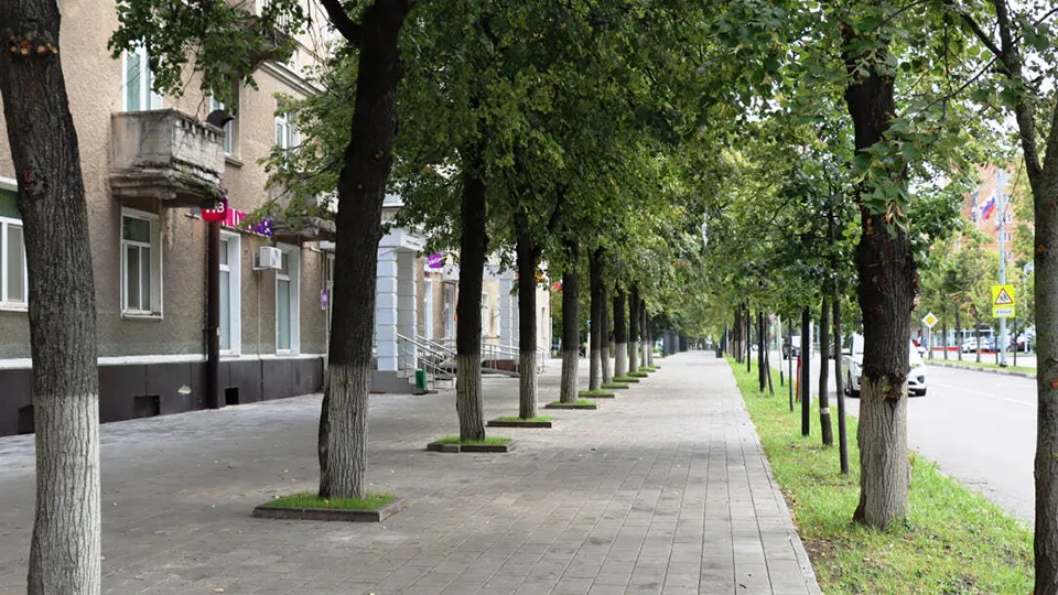 Фото: пресс-служба администрации г.о. Ступино