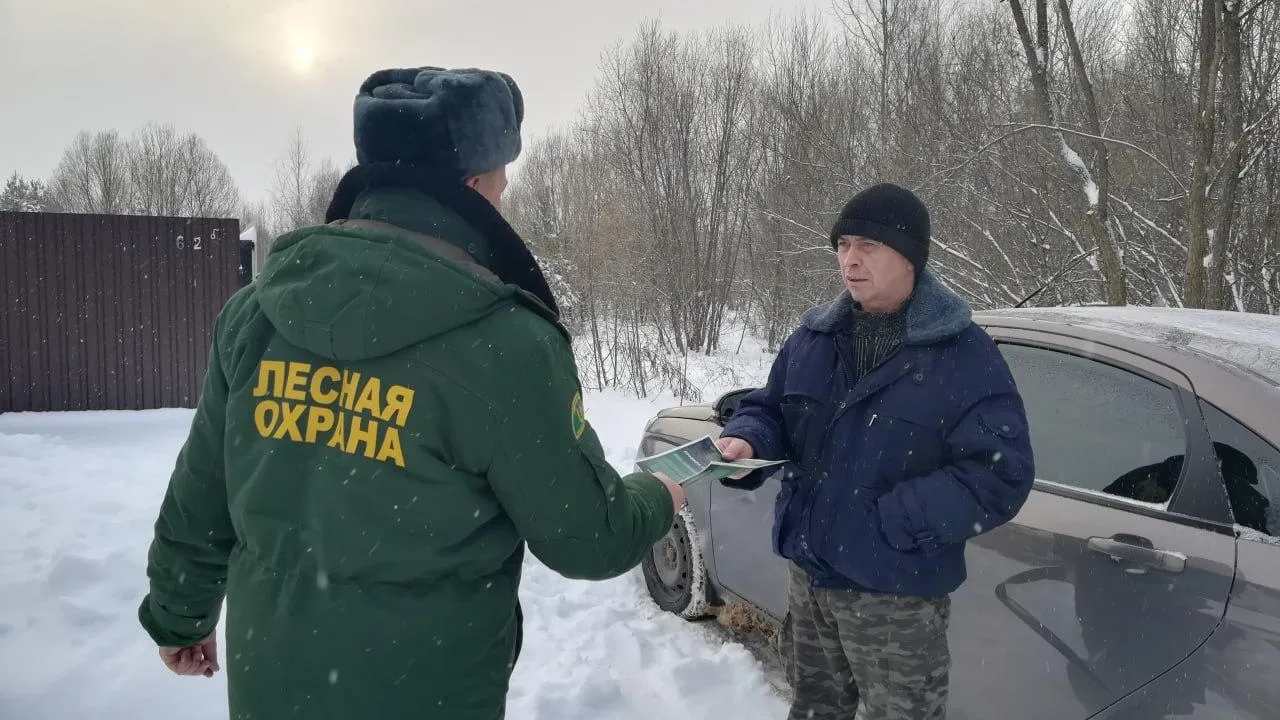 Фото: Шатурское лесничество