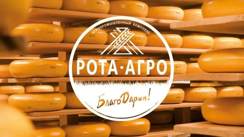 Камамбер и паста филата. Сырный завод на 5 тонн готовой продукции начали строить в Наро-Фоминске