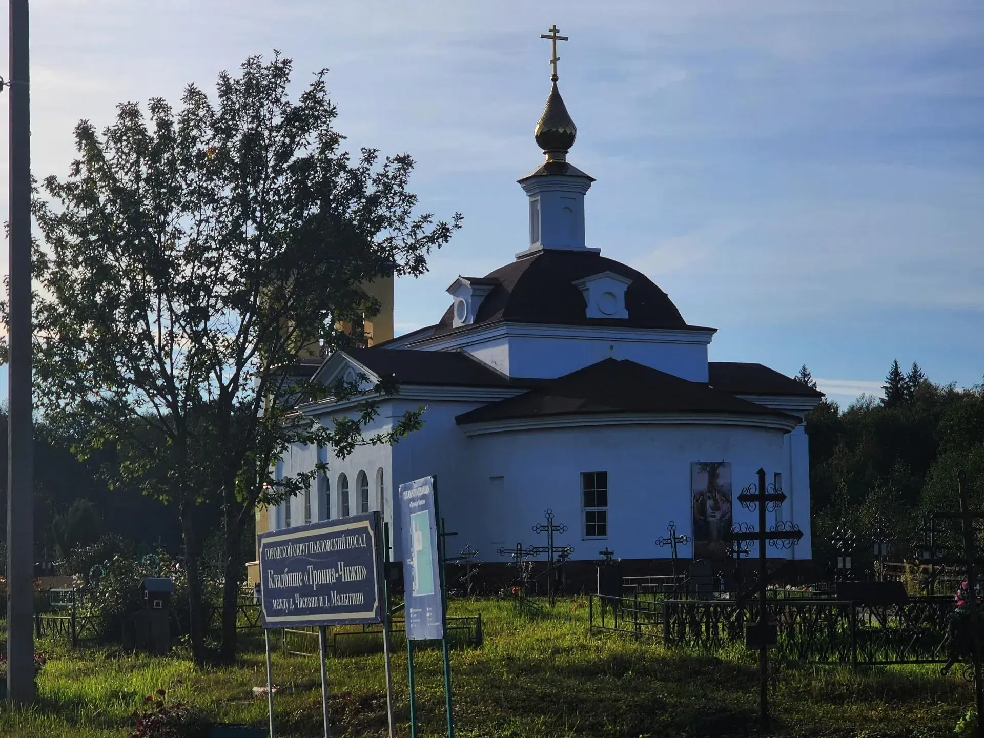 Источник: Алена Притула