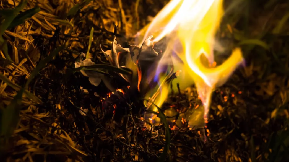 Фото: freepik.com