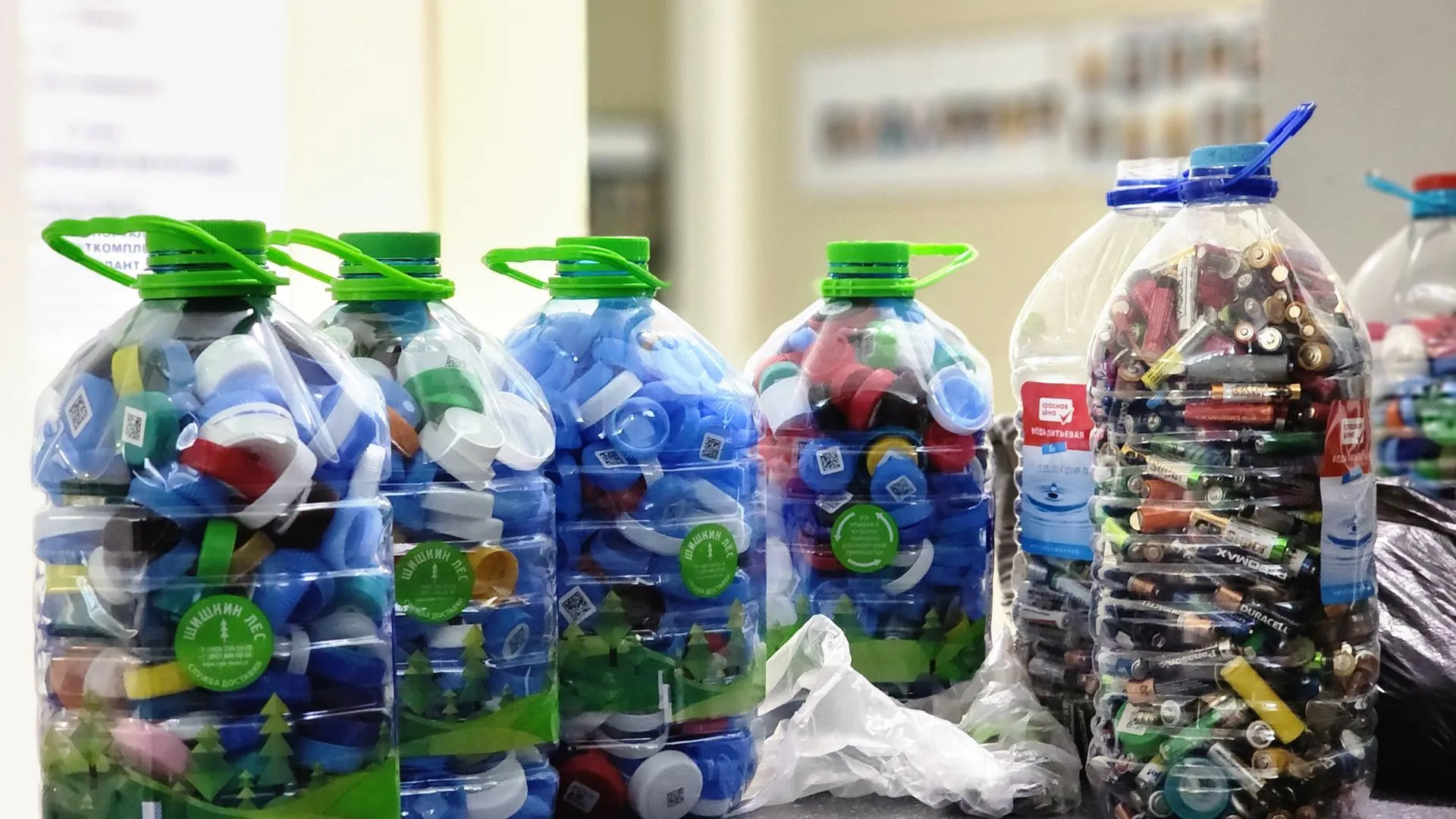 Фото: REGIONS/Полина Пахомова