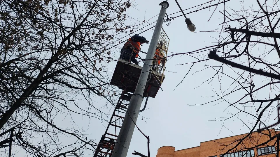 Фото: Анастасия Сараева