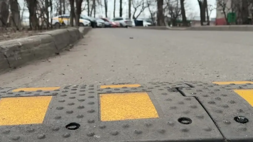 Фото: МедиаБанк Подмосковья/Ксения Казакова