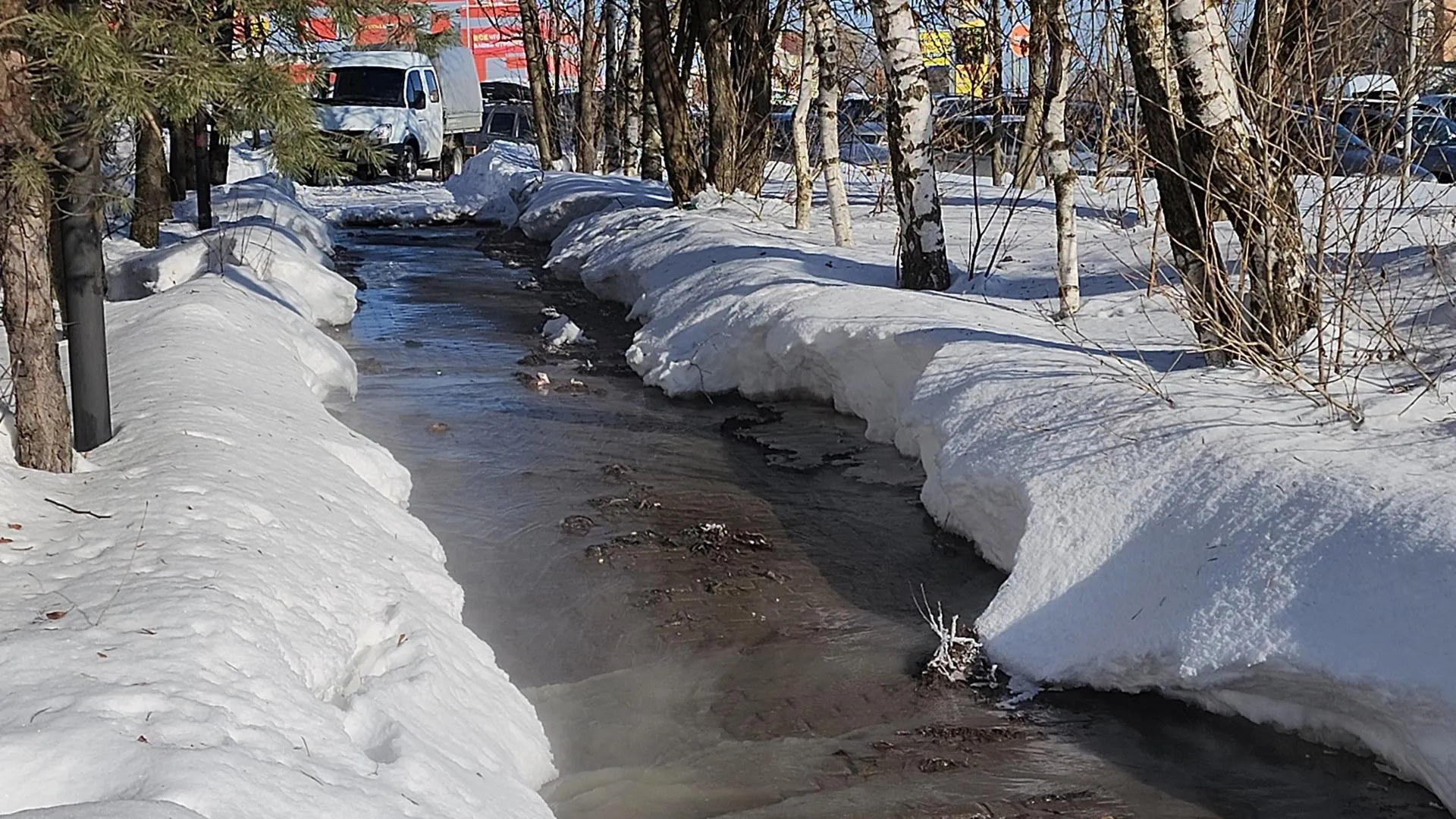 REGIONS/Елена Шумакова