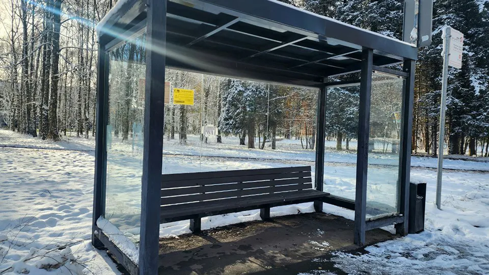 Фото: МедиаБанк Подмосковья/Мария Панина