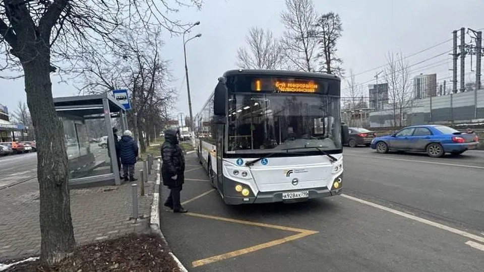 Фото: пресс-служба администрации городского округа Мытищи