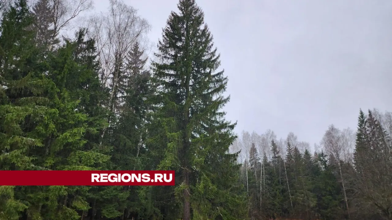 Фото: Яна Шаливская