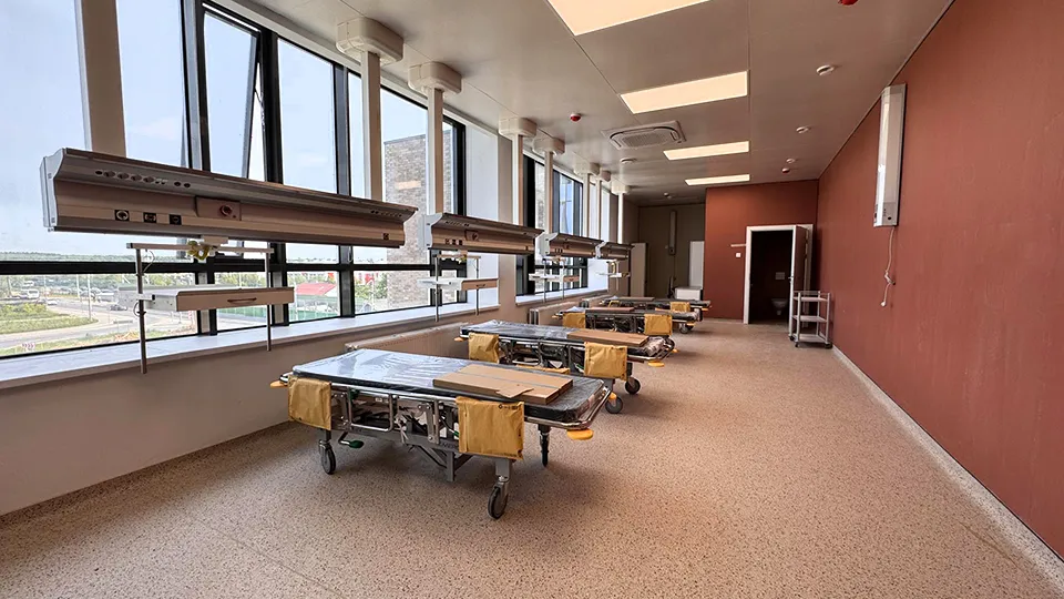 Фото: REGIONS/Мария Шматкова