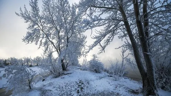 Александр Кряжев / РИА Новости