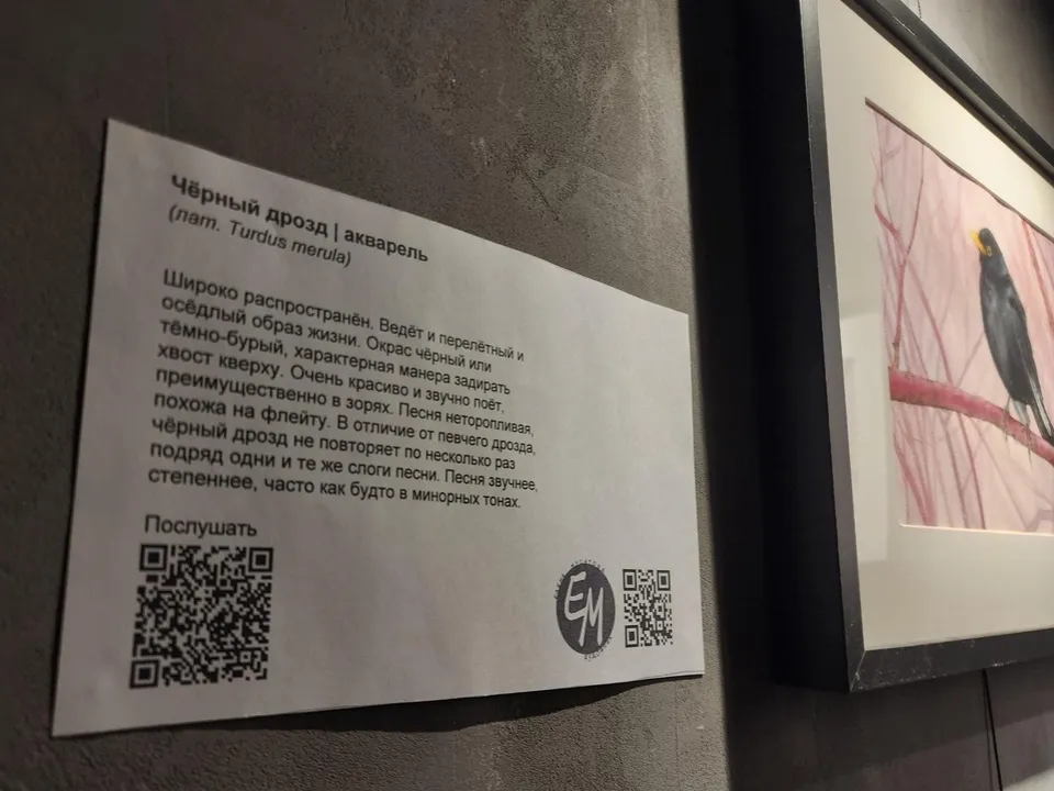 Описание к произведению на выставке в наукограде. Фото: Иван Петрушин&nbsp;