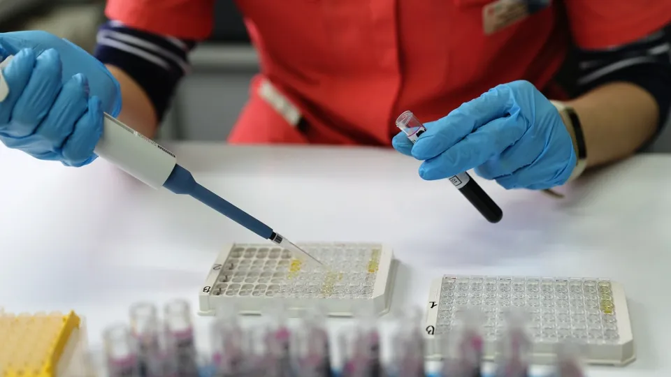 Фото: РИА Новости/Виталий Тимкив