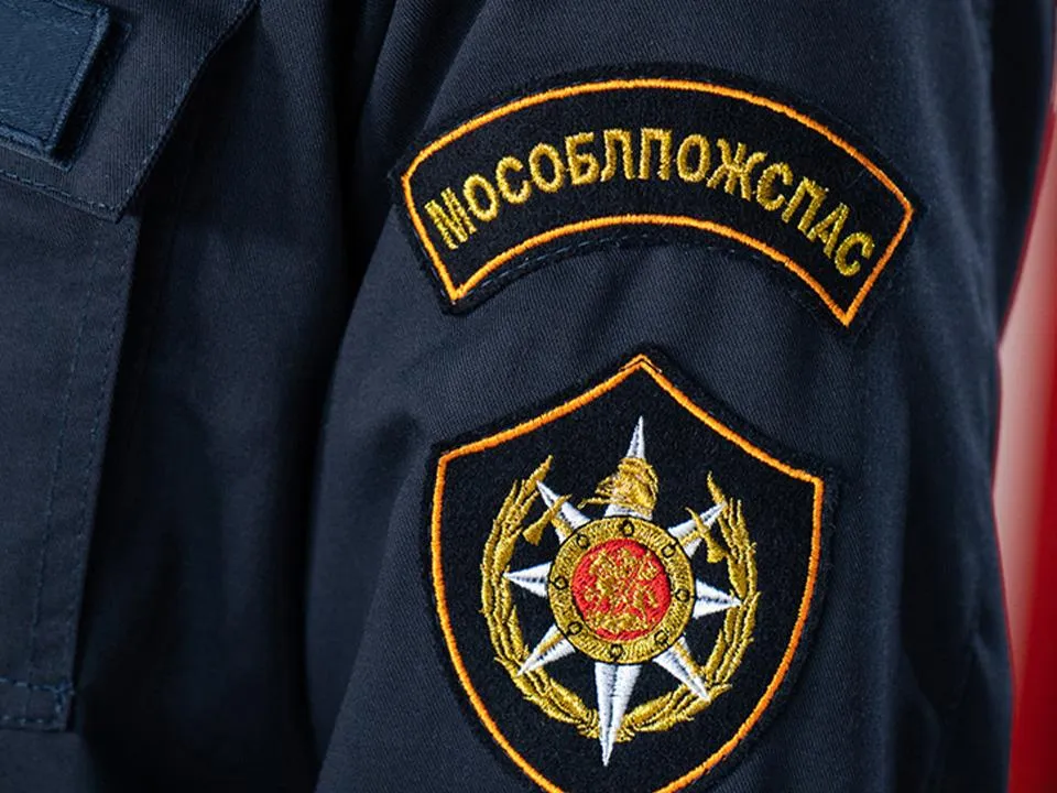 Могут предъявить претензии: выяснилось, кто будет компенсировать вред собаке, упавшей в люк