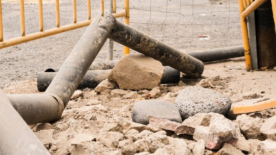 Фото: freepik.com