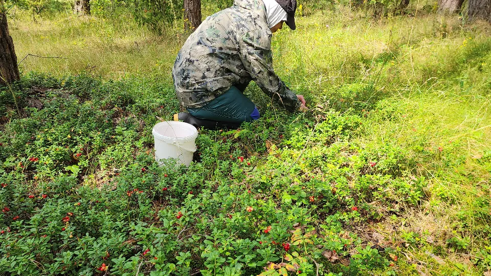 Фото: личный архив Михаила Мартыненко