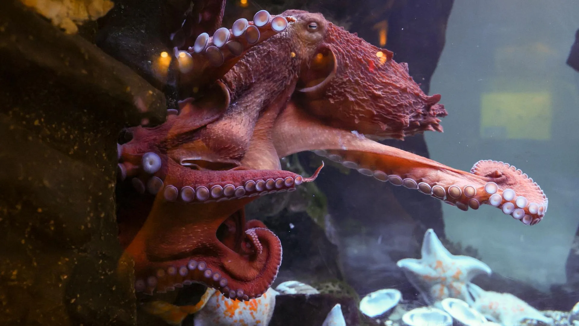 Shatokhina Natalia/news.ru