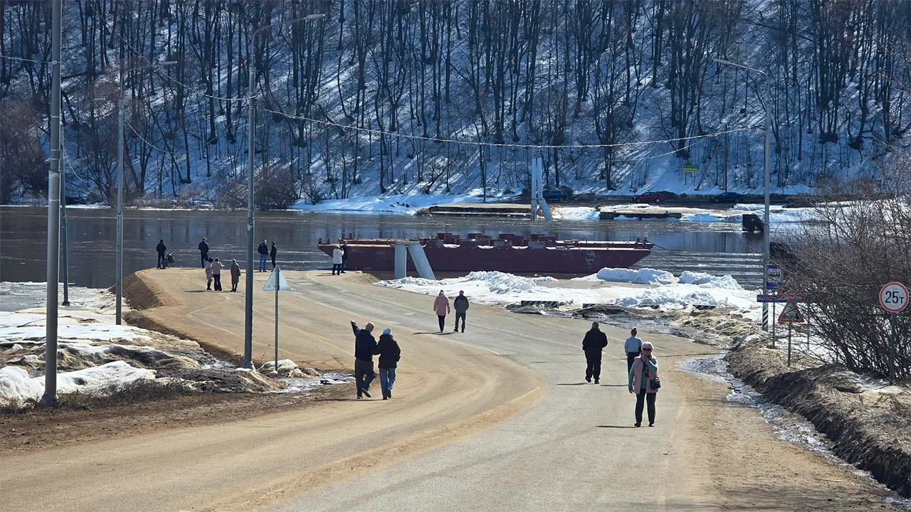 Марина Анисимова