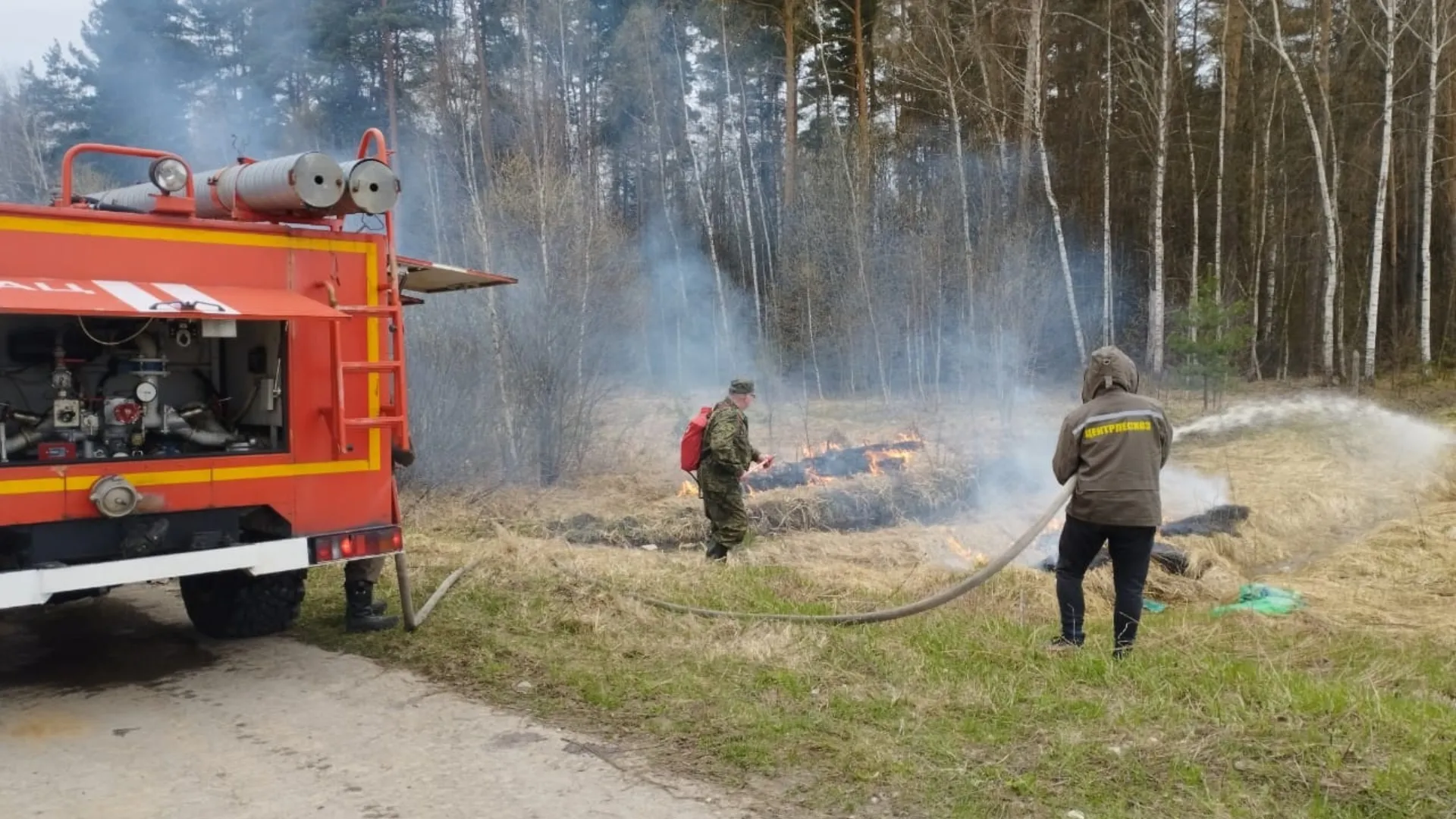 Фото: Егорьевское лесничество
