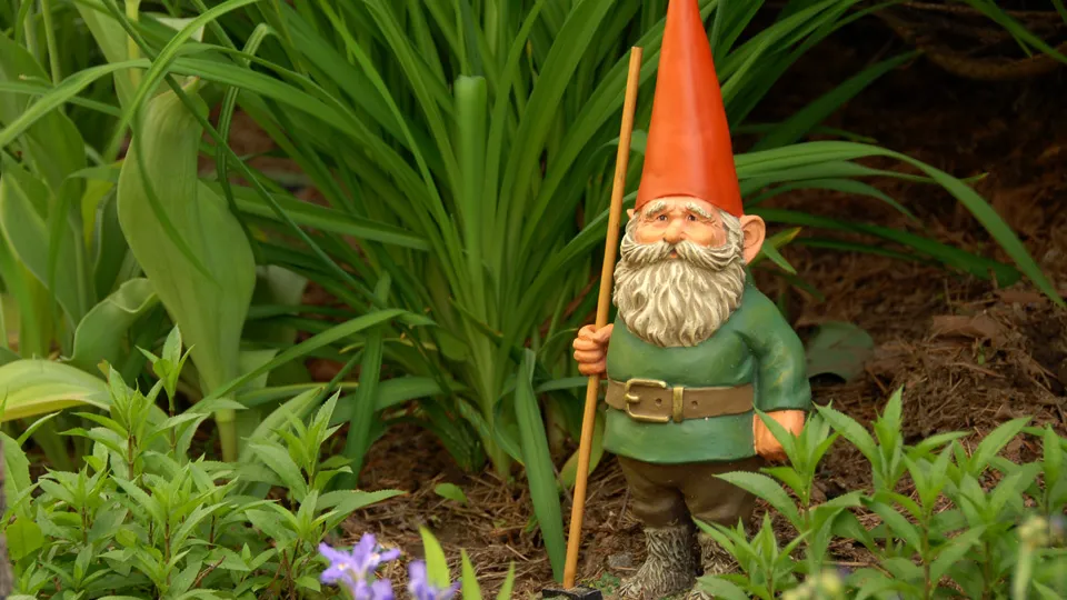 Фото: istockphoto.com/karenstancik