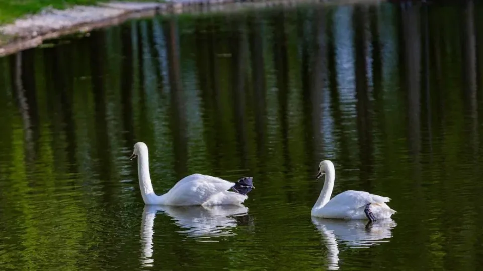 Фото: пресс-служба Администрации г.о. Серпухов