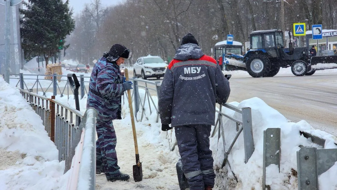 REGIONS/Валерия Тингаева