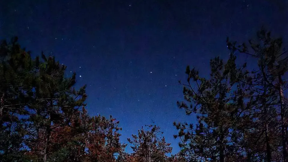 Фото: REGIONS/Анастасия Широкая