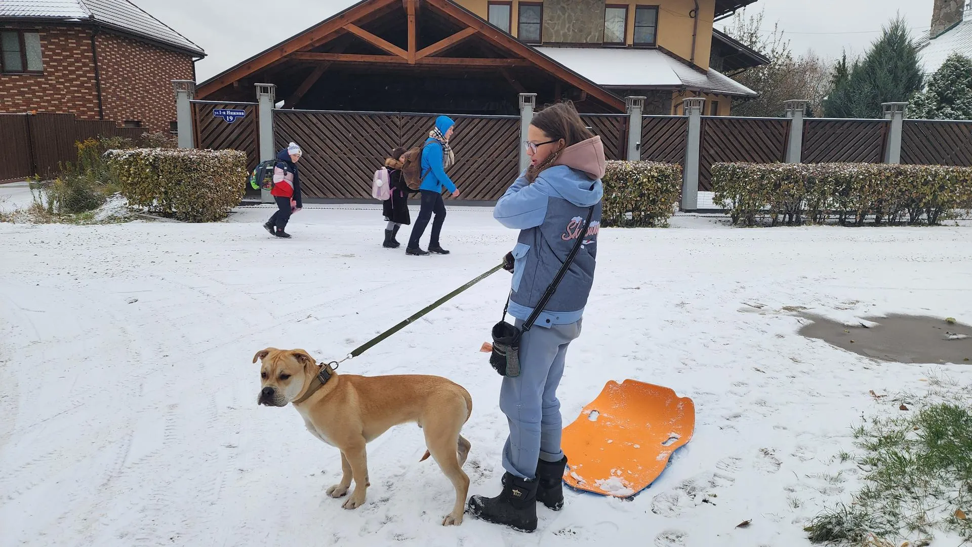 Фото: Ольга Егиян