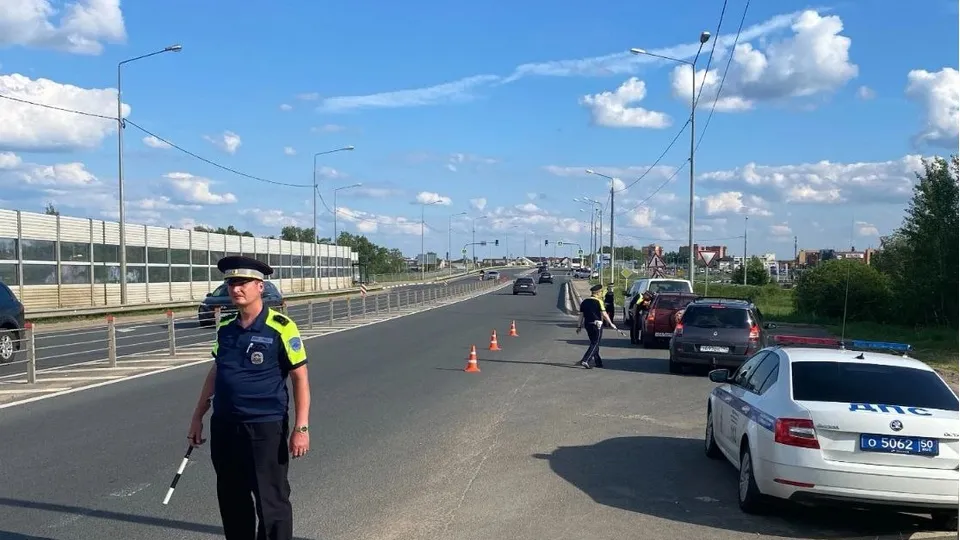 Фото: Госавтоинспекция Московской области