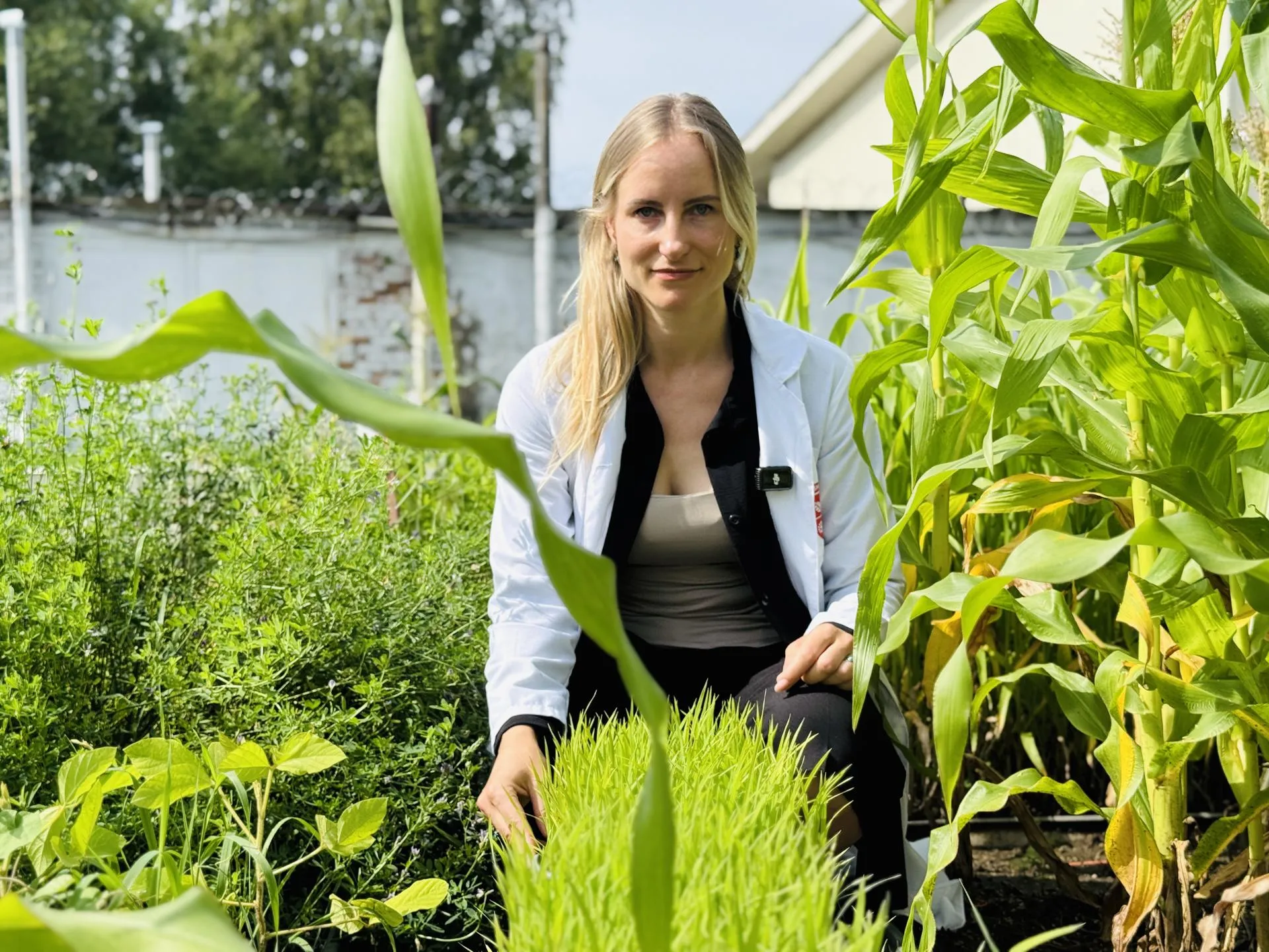 Ольга Словарева, кандидат биологических наук, старший научный сотрудник — начальник научно-методического отдела бактериологии Всероссийского центра карантина растений/ Фото: Ольга Стаферова