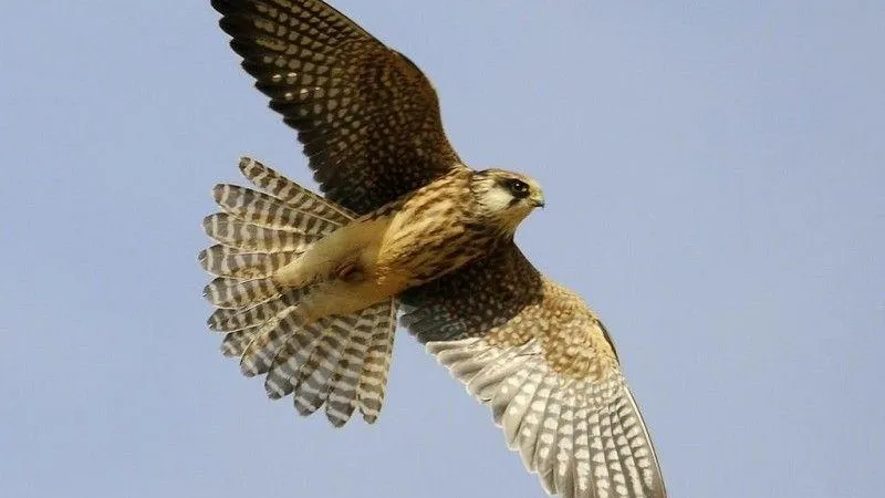 Министерство экологии и природопользования МО