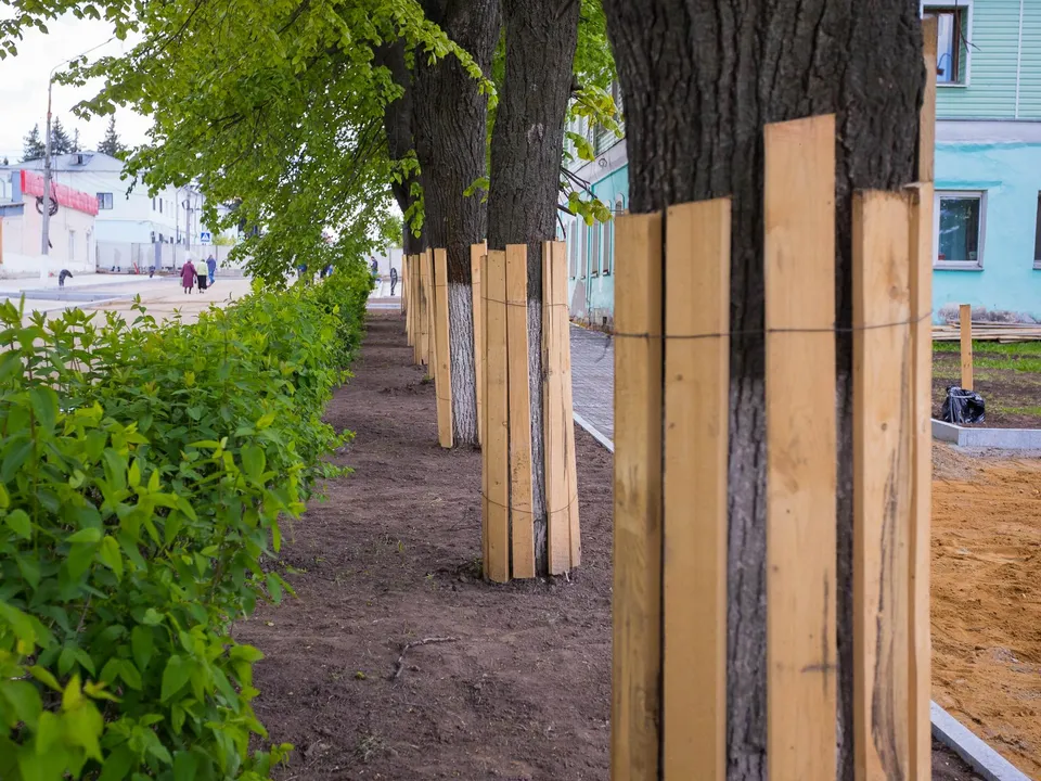 Фото: пресс-служба администрации г.о. Кашира