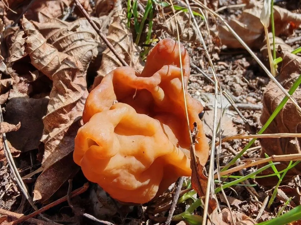 Фото: Константин Кошелев