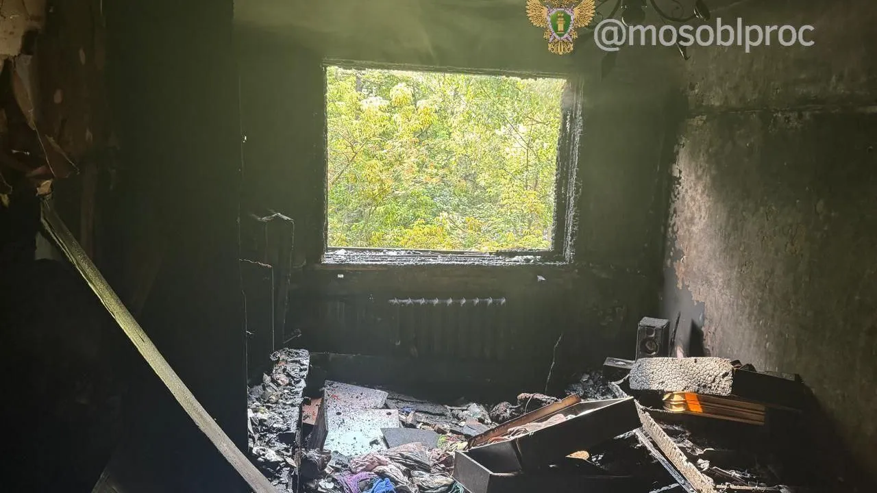 Прокуратура Московской области