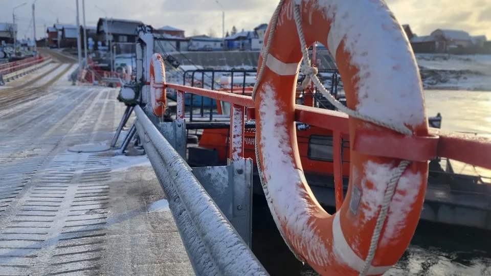 Фото: Медиабанк Подмосковья/Анна Шолохова
