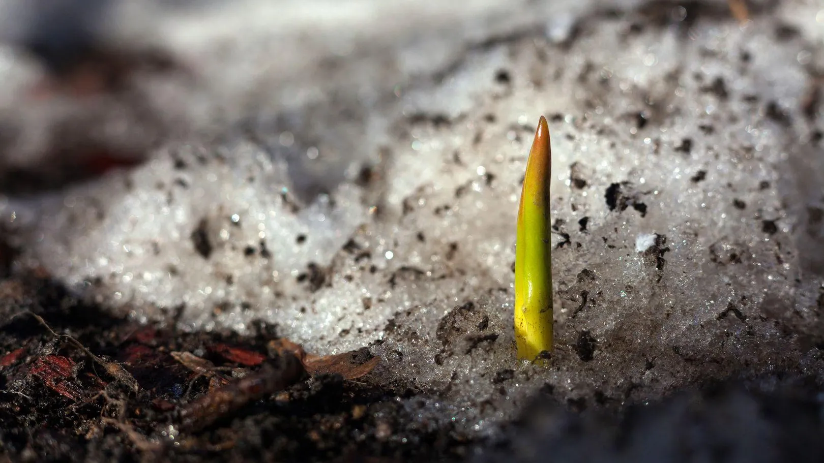 медиасток.рф