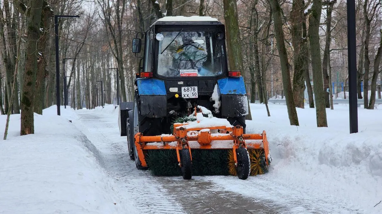 REGIONS/Валерия Тингаева