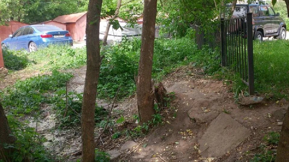 Фото: администрация Одинцовского городского округа