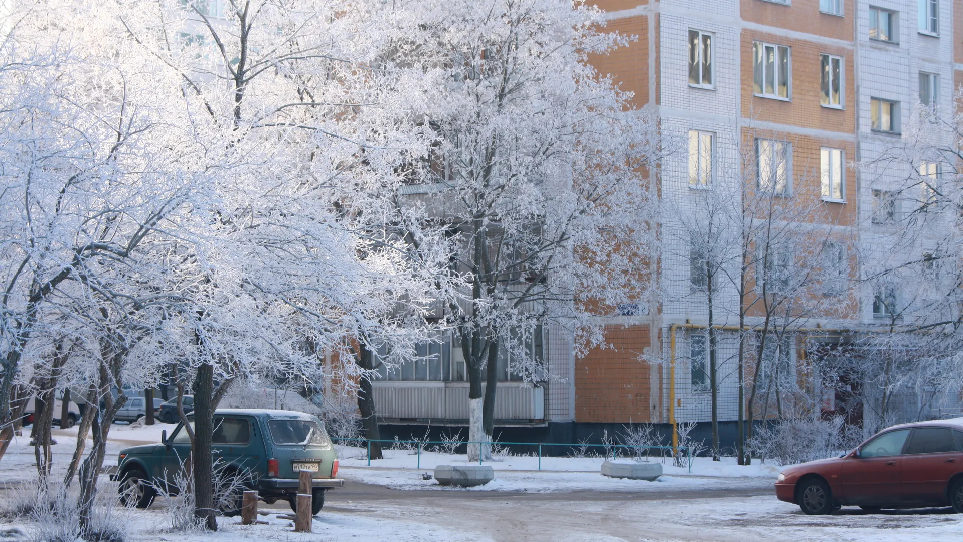 Мороз в Черноголовке