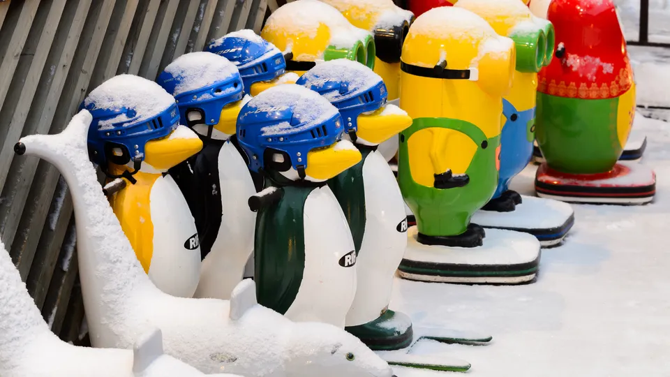 Фото: медиасток.рф