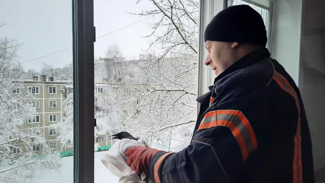 Фото: пресс-служба «Мособлпожспас»