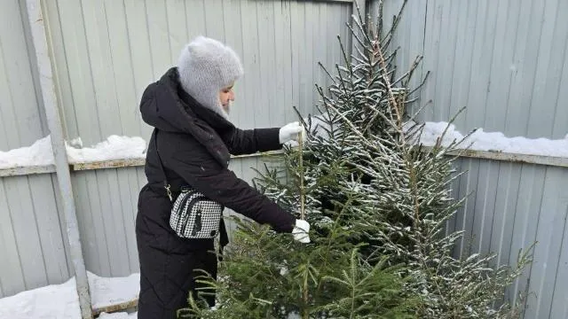 пресс-служба администрации Можайского м. о.