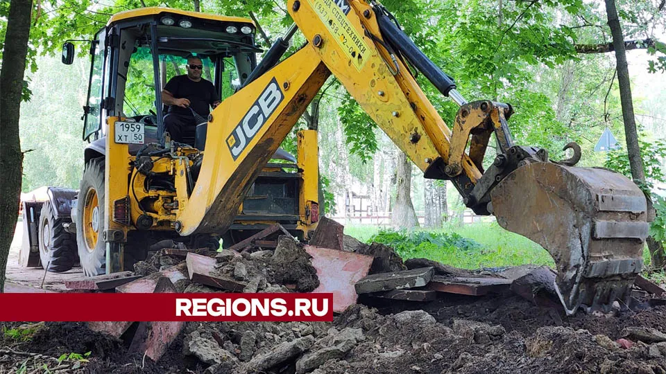 Фото: Валерия Тингаева