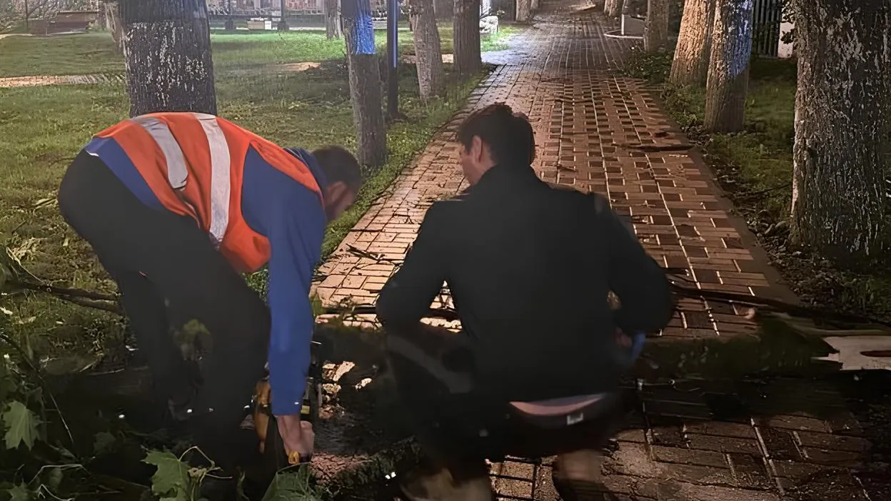 Глава муниципального округа Истра Татьяна Витушева