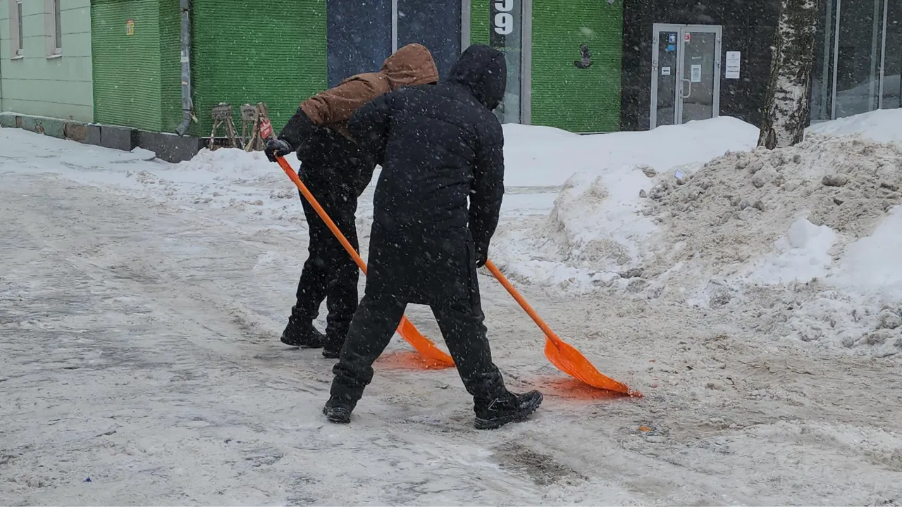 МедиаБанк Подмосковья/Наталья Лымарь
