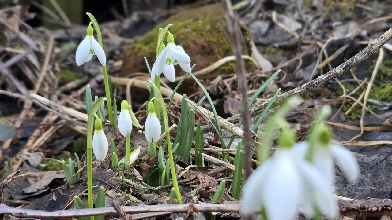 МедиаБанк Подмосковья/Марина Анисимова