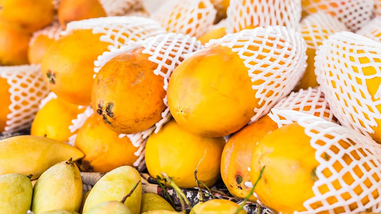 istockphoto.com/satura86