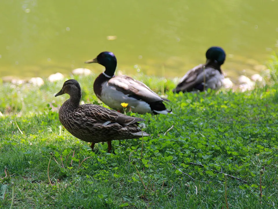 Фото: Наталья Дорофеева